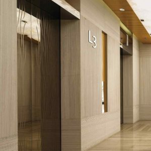 braun elevator