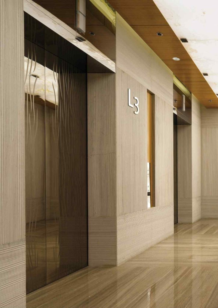 braun elevator